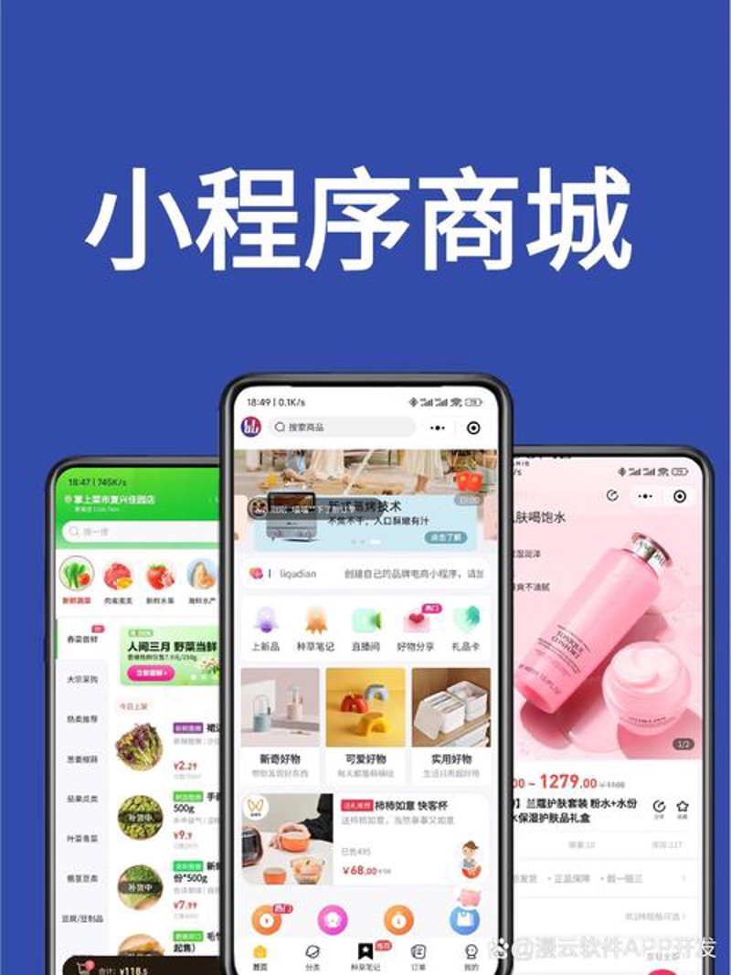 山西软件开发